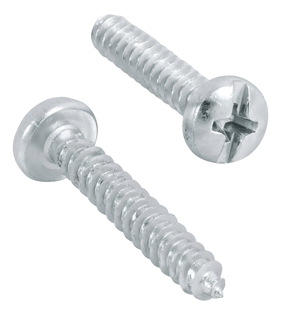 Bolsa Con 200 Pijas Para Lámina, #8 X 1 , Fiero