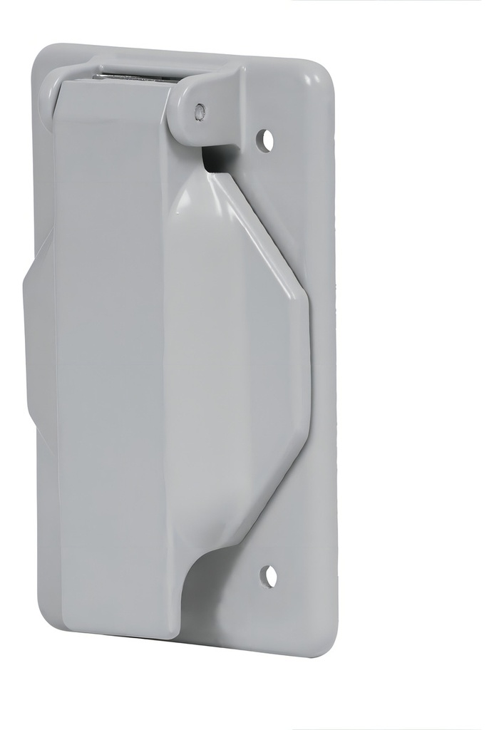 Placa Caja Fs Con Tapa Voltech 46434