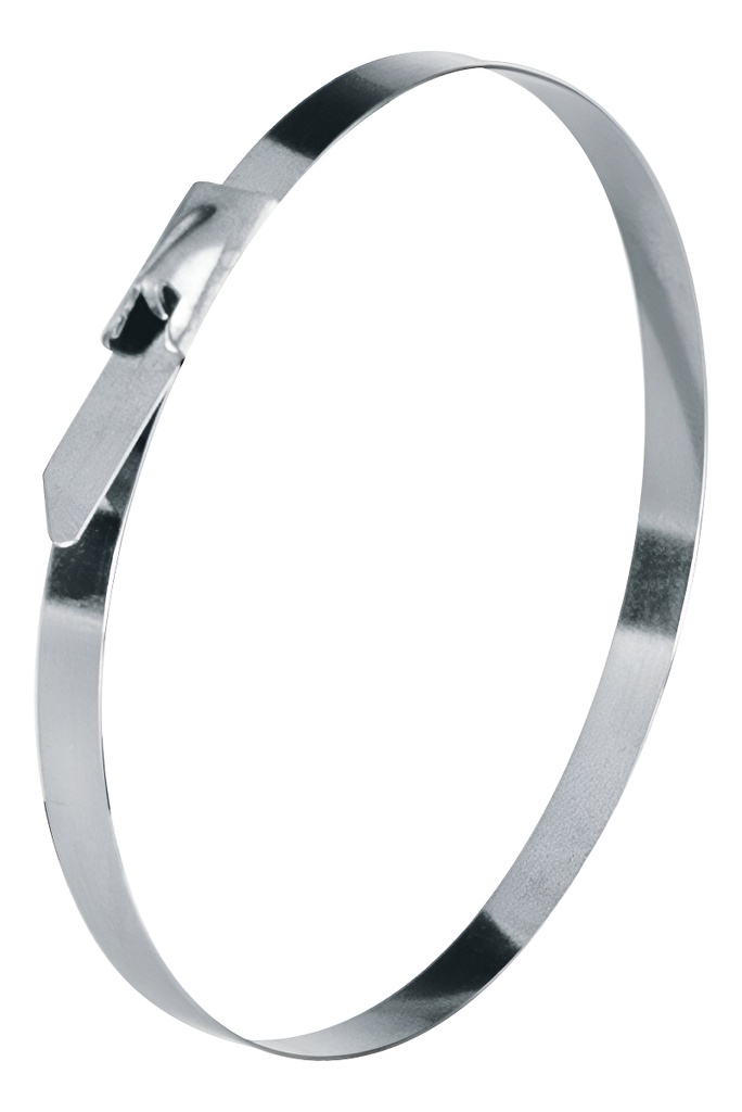 Cinchos 20 Cm Acero Inoxidable 99 Lb Bolsa C/10 Truper 48039 Color Gris