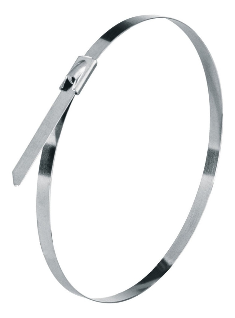 Cinchos 29 Cm Acero Inoxidable 99 Lb Bolsa C/10 Truper 48040 Color Gris