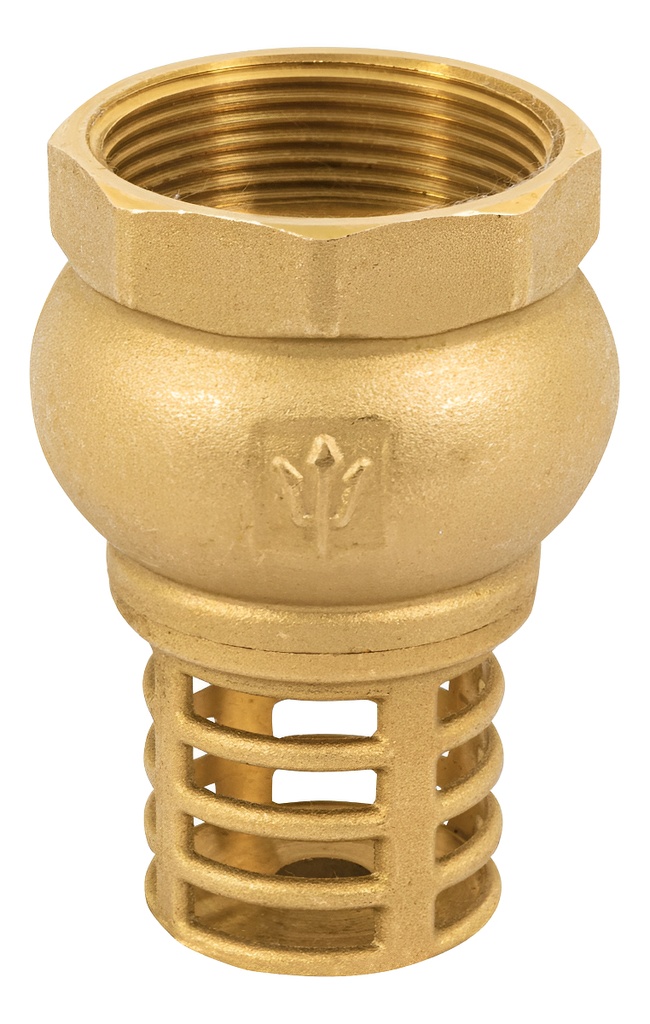 Valvula Pichancha Rejilla Laton 1-1/2" Foset 49048 Truper