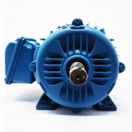 Motor Eléctrico Trifásico 5 Hp Weg para Equipos Industriales