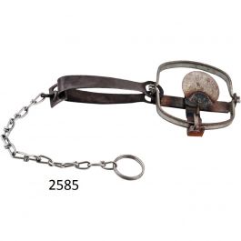 [CM-2585] Trampa para Coyote No. 1 Mediana Acero Templado Cal. 12 Austral