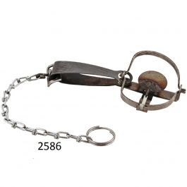 [CM-2586] Trampa para Coyote No. 15 Grande Acero Templado Cal. 10 Austral