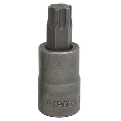 Dado Torx T60 Y 3/8" Plus