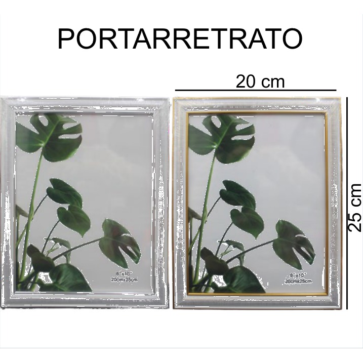 [EB-PF18899] Portarretratos Plástico Dorado y Plateado 20x25 cm PF18899 — Caja 48 pzas