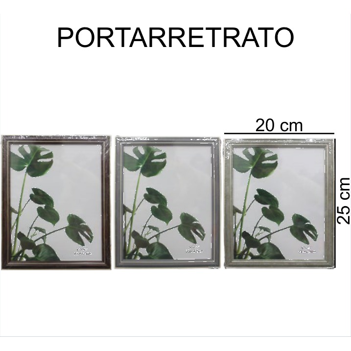 [EB-PF18883] Portarretratos Marco Plateado Clásico 20x25 cm PF18883 — Caja 48 pzas