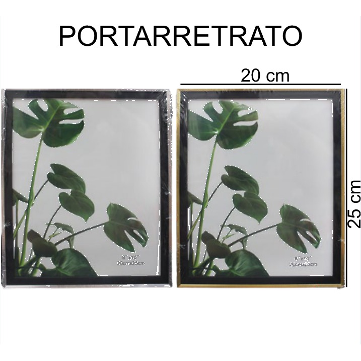 [EB-PF18895] Portarretratos Marco Negro Transparente 20x25 cm PF18895 — Caja 48 pzas