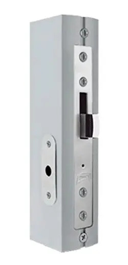 [BE-12433] Chapa Pta Abatible Natural PHSX450 Phillips para Puerta