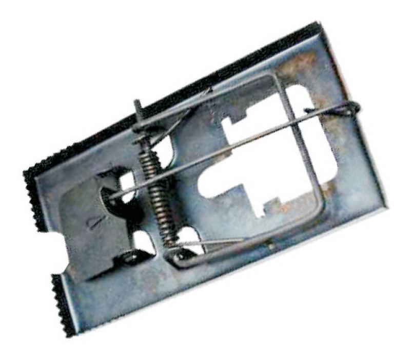 [GM-14RATONE018CH] Ratonera  Trampa Metalica 165X90Mm  (2 Piezas)