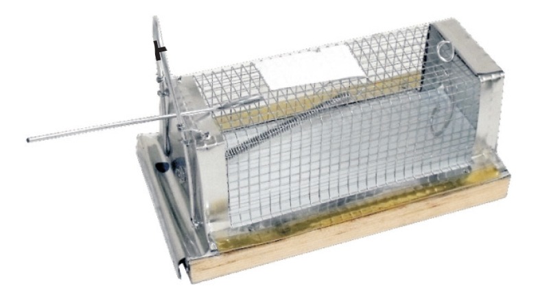 Ratonera De Jaula Base De Lamina Num.3 Trampa