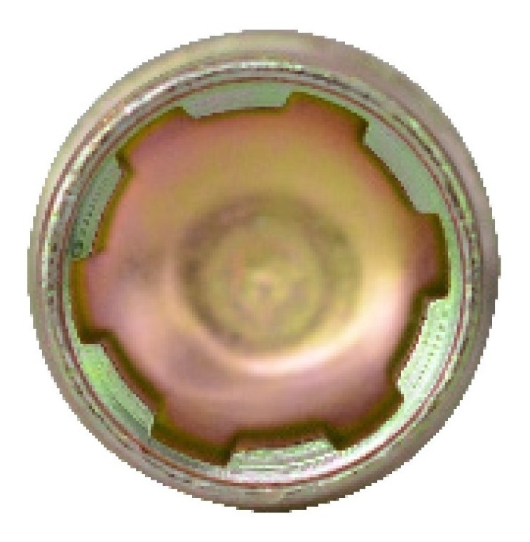 Seguro Placacero 2 Llaves 12mm-1.25rd Nissan 190bplus