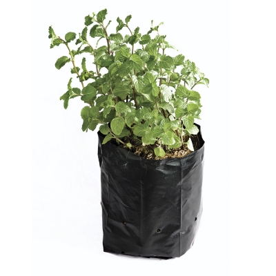 [GM-15BOLSAS007SM] Bolsa para Vivero Negra 13x25cm con Perforación 25kg