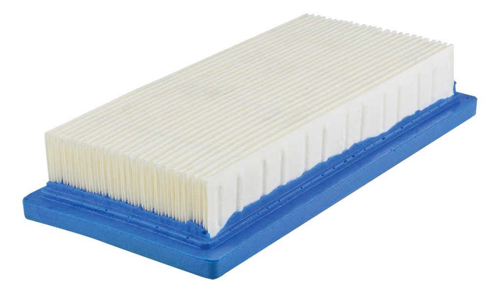 Filtro de Aire Cartucho Briggs Stratton 5HP (197877) 494511