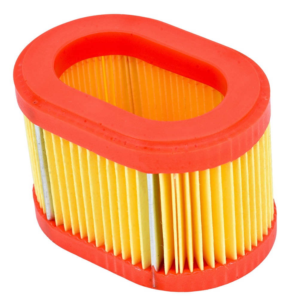 FILTRO DE AIRE PARA BRIGGS STRATTON 9 CID HORIZONTAL 790166