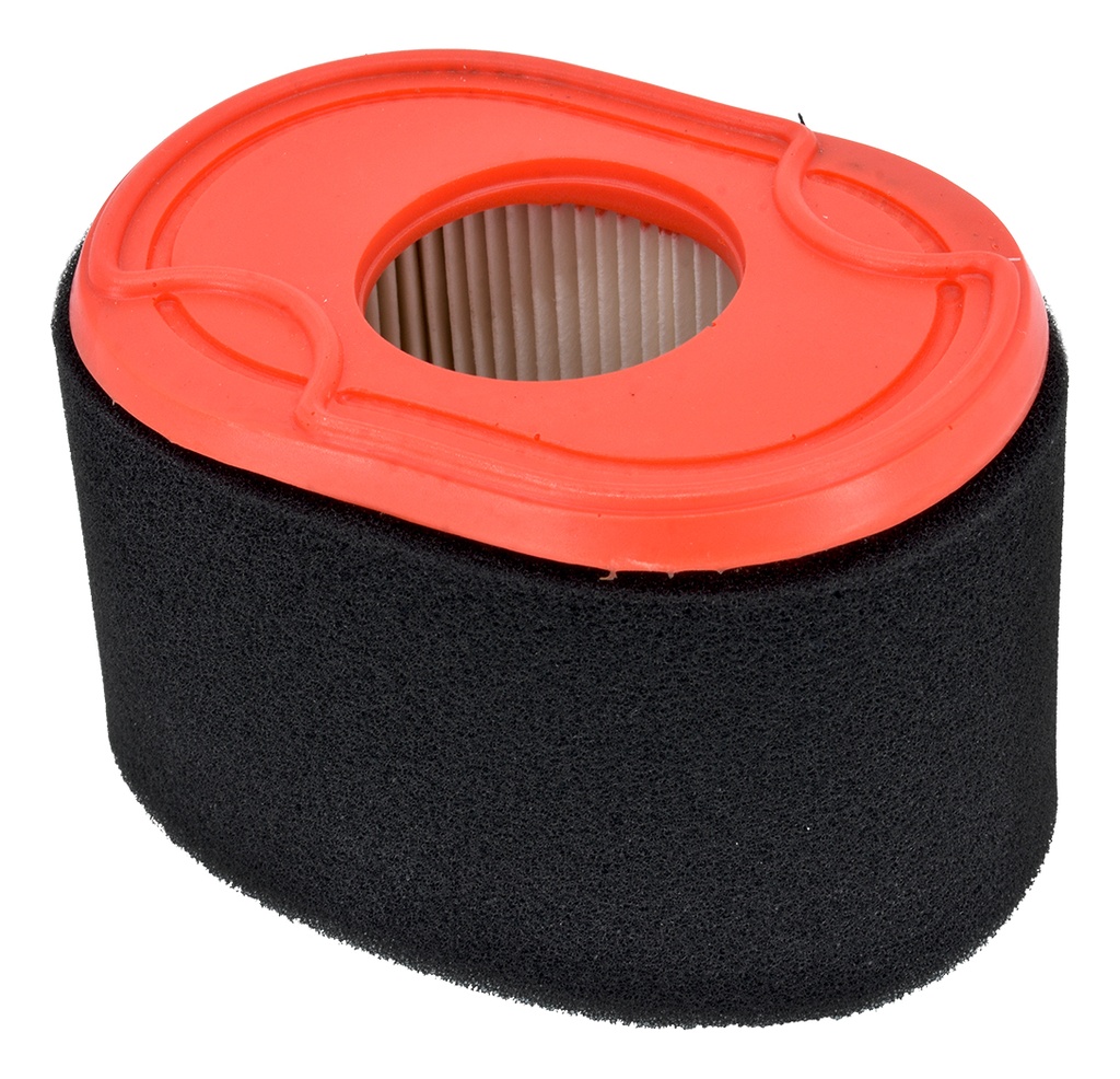 FILTRO DE AIRE PARA BRIGGS STRATTON 796970