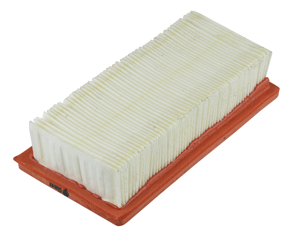 [GM-16FILTRO068TE] FILTRO DE AIRE CARTUCHO BRIGGS STRATTON 8HP (196586) 491384