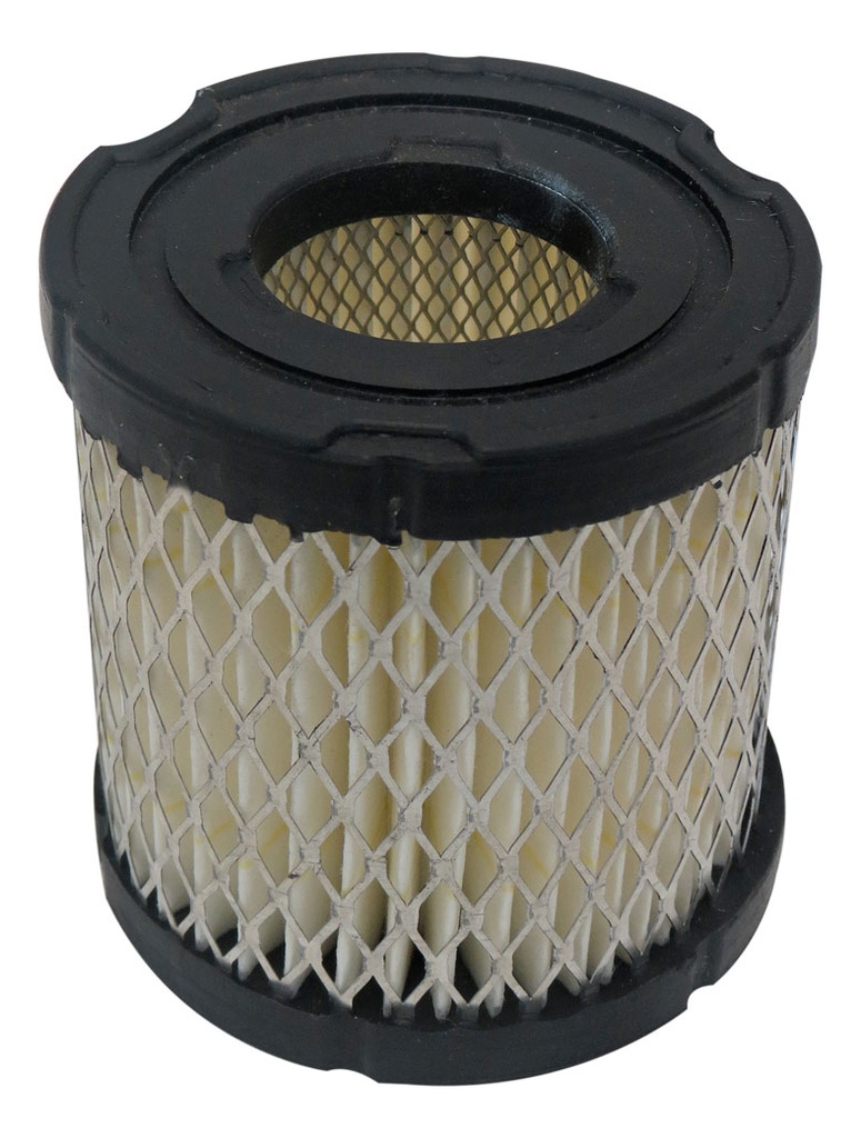 Filtro de Aire (Elemento) para Motor Briggs & Stratton 392308