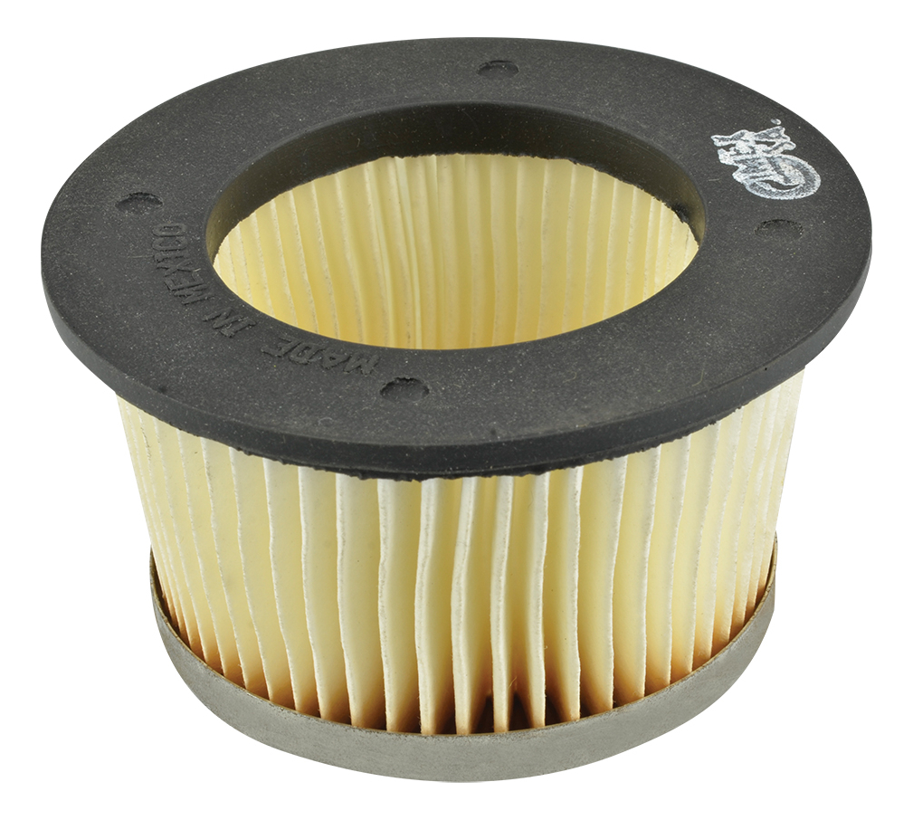 FILTRO DE AIRE TECUMSEH 30727 (AM30900)