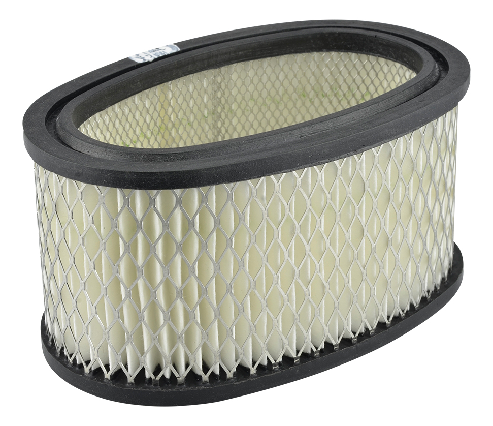 Filtro de Aire Briggs Stratton (393725) 10-108H