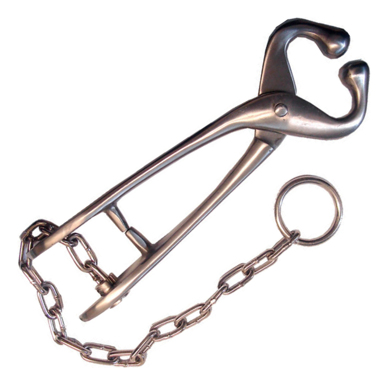 [GM-15ARGOLL003LA] Anillo Nasal Con Cadena 200mm LS-229 (4731)