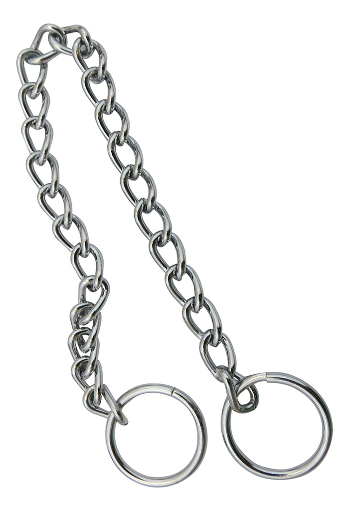 CADENA DE CASTIGO PARA PERRO 2.5MMX18"